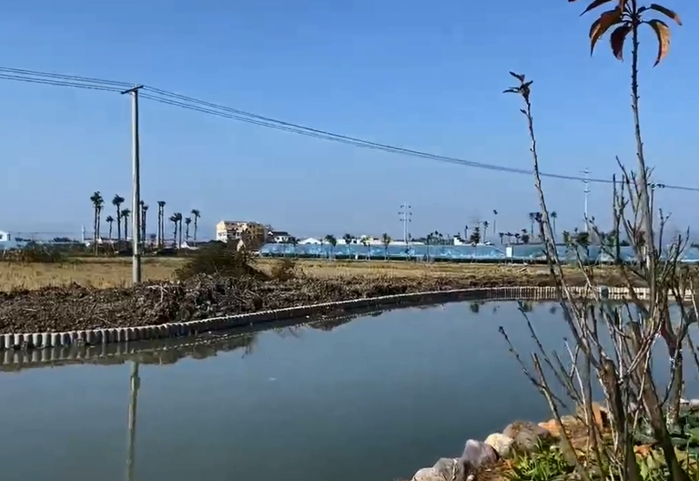 视频案例